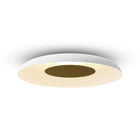 Ramen Outdoor Wall/Ceiling Light