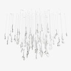 Herbarium Chandelier