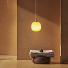 VL45 Radiohus Pendant Light