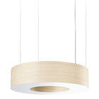 Saturnia Dimmable LED Suspension Light