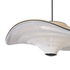 Flying Pendant Light