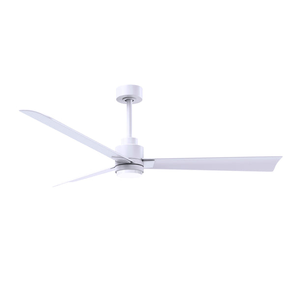 Alessandra Outdoor Ceiling Fan with Light