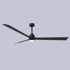 Alessandra Outdoor Ceiling Fan with Light