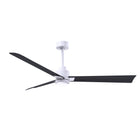 Alessandra Outdoor Ceiling Fan with Light