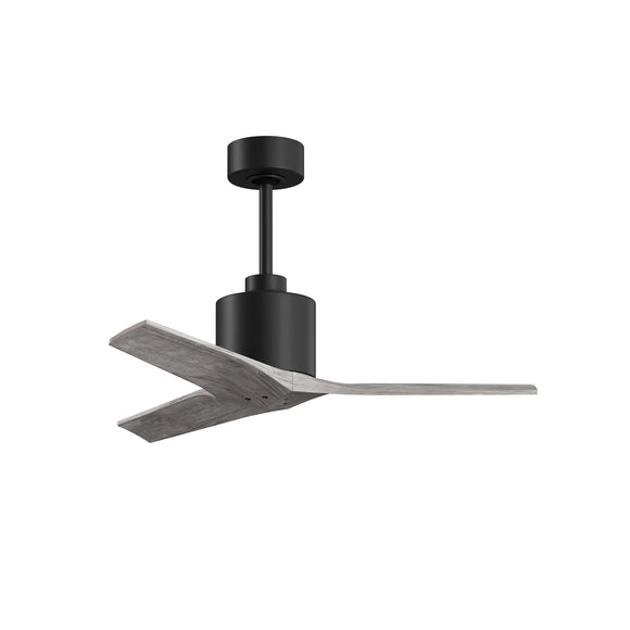 Mollywood Ceiling Fan