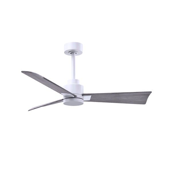 Alessandra Outdoor Ceiling Fan