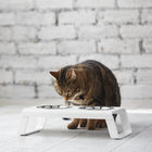 Desco Cat Feeder