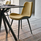 Dalia S M_Q TS Dining Chair