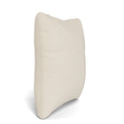 Toss Pillow (Set of 2)