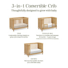 Marin with Cane 3-in-1 Convertible Crib