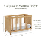 Marin with Cane 3-in-1 Convertible Crib