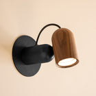 Onfa Wall Sconce