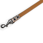 Dog Leash