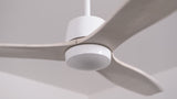 Arbor LED Ceiling Fan