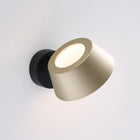 Olo XL Wall Sconce