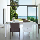 Komfy Dining Chair