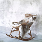 Monet Rocking Chair