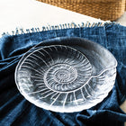 Shell Platter