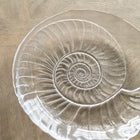 Shell Platter