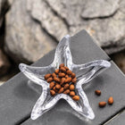 Starfish Dish (Set of 2)