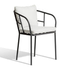 Salto Dining Chair