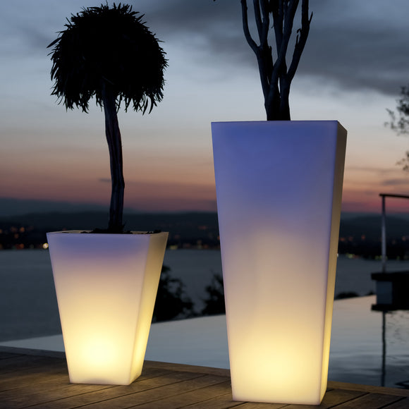 Rumba Illuminated Bluetooth LED Outdoor Pot Plant