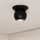 Hemisphere Flush Mount