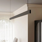 Lithe Two-Sided LED Pendant Light