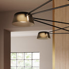 Ray LED Chandelier