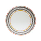 Evolution Dinner Plate (Set of 4)