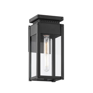 Braydan Outdoor Wall Sconce