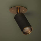 Caleb Semi Flush Mount