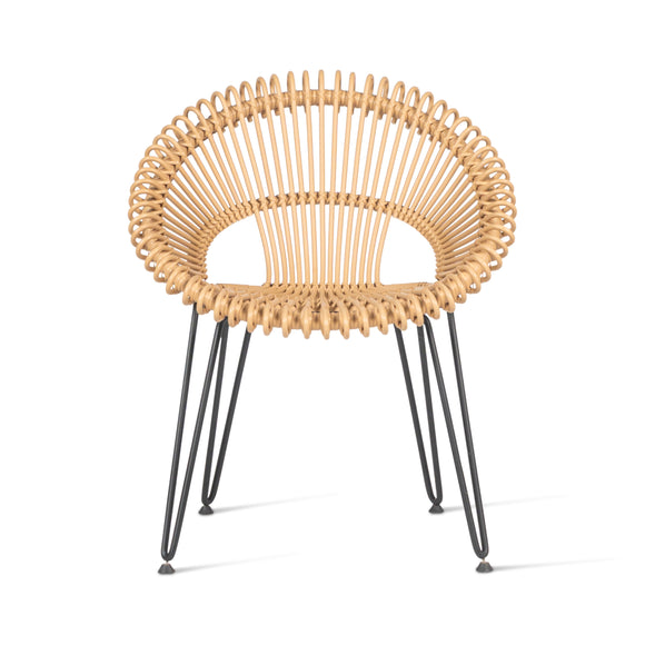 Roxy Outdoor Dining Chair