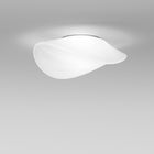 Balance Wall/Ceiling Lamp