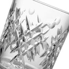 Winter Wonders Holly Old Fashion Glass (Set of 2)