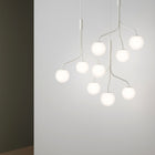 Curve Cluster Single Pendant Light