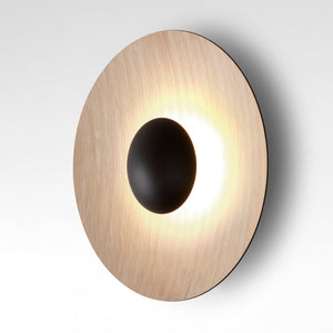 Ginger LED Flush Mount Wall Light