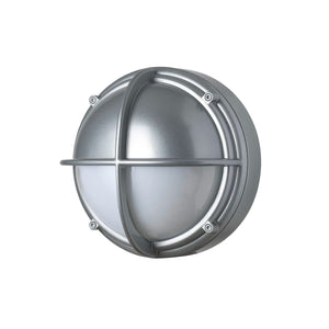 Skot Outdoor Wall or Ceiling Light