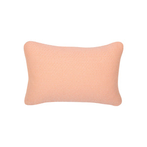 Evasion Outdoor Pillow