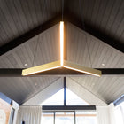 Tri Pendant Light