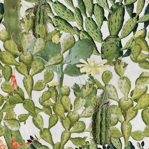 Opuntia Wallpaper Sample Swatch