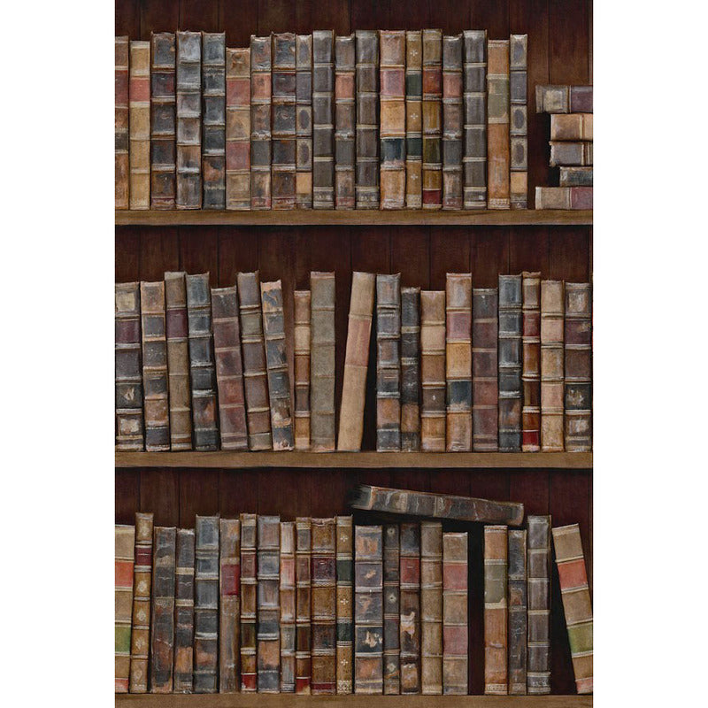 Mind The Gap Book Shelves Wallpaper - 2Modern