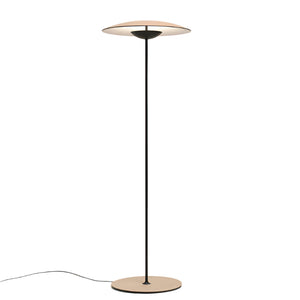 Ginger LED Floor Lamp