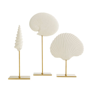 Shell Sculpture (Set of 3)