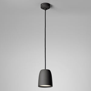 Nut Pendant Light