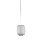 Arya Pendant Light