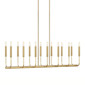 ED Ellen DeGeneres Brianna Linear Chandelier