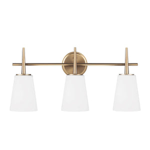 Driscoll Bathroom Vanity Light