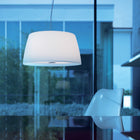 Ginger Suspension Light