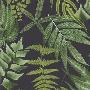 Midsummer Fern Wallpaper Sample Swatch